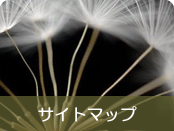 �T�C�g�}�b�v