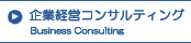 ��ƌo�c�R���T���e�B���O�EBusiness Consulting